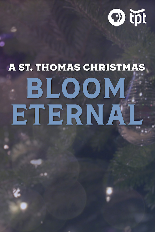 A St. Thomas Christmas: Bloom Eternal