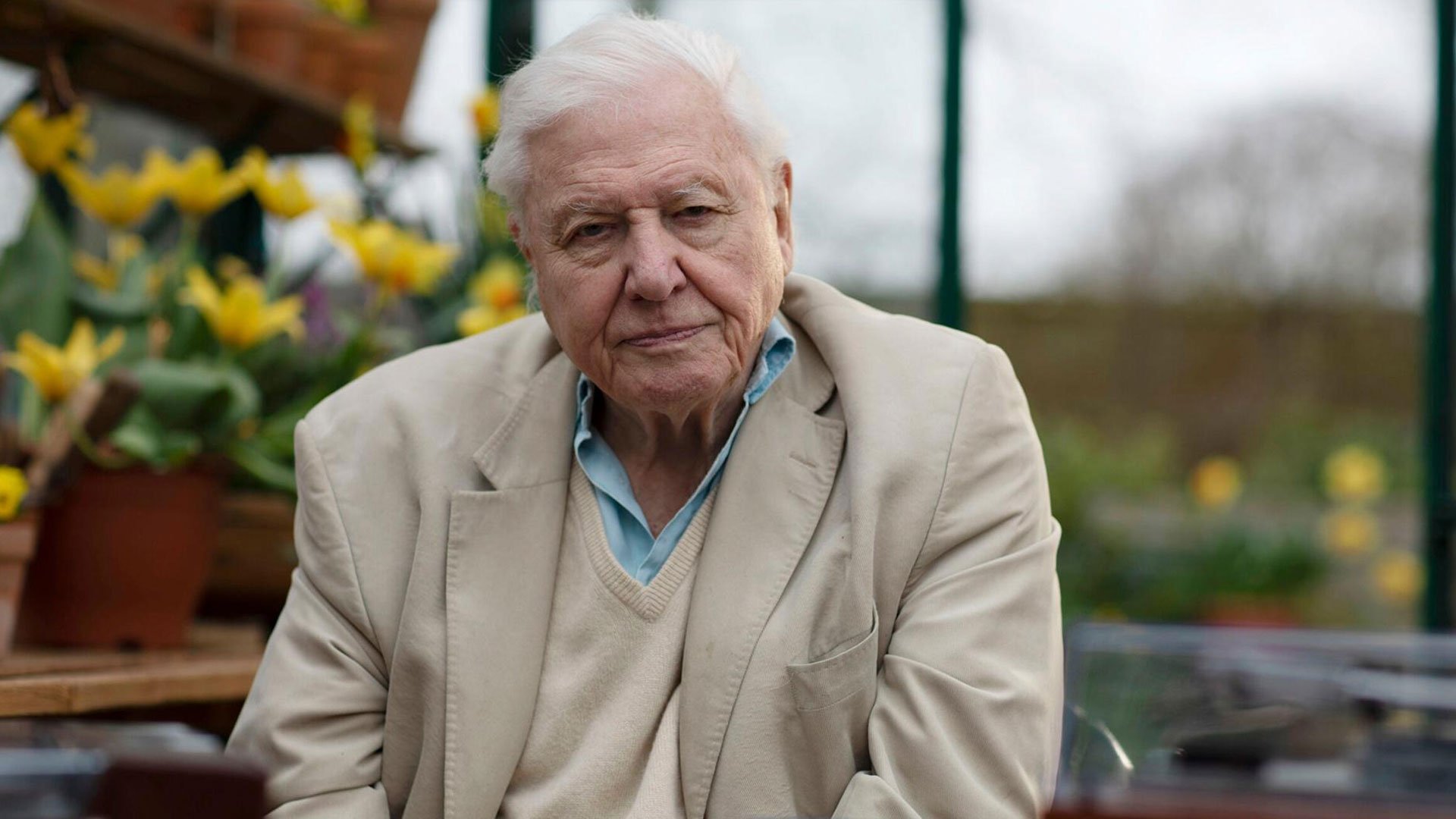 David Attenborough